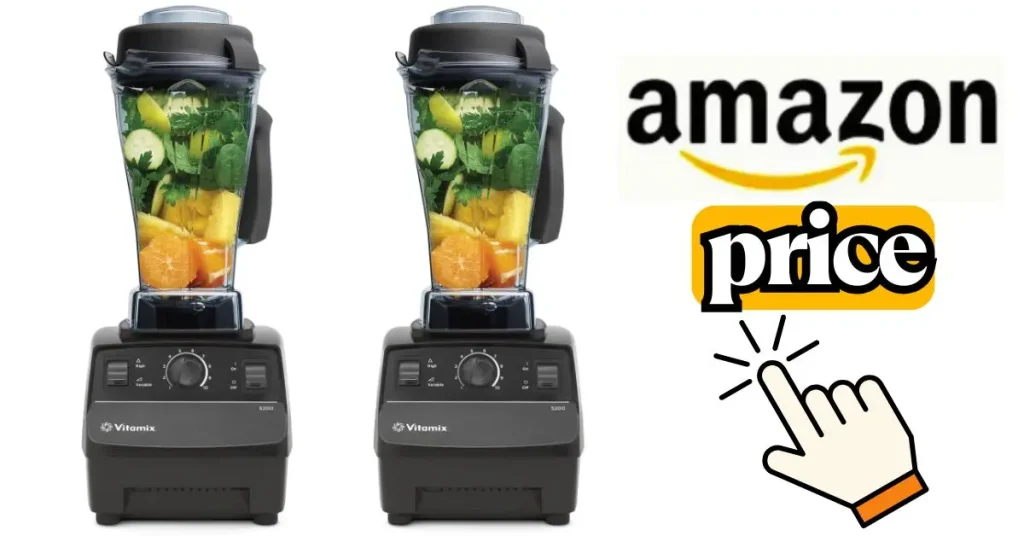 Vitamix 5200 vs E310