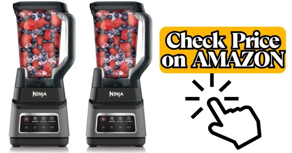 Ninja BN701 Review